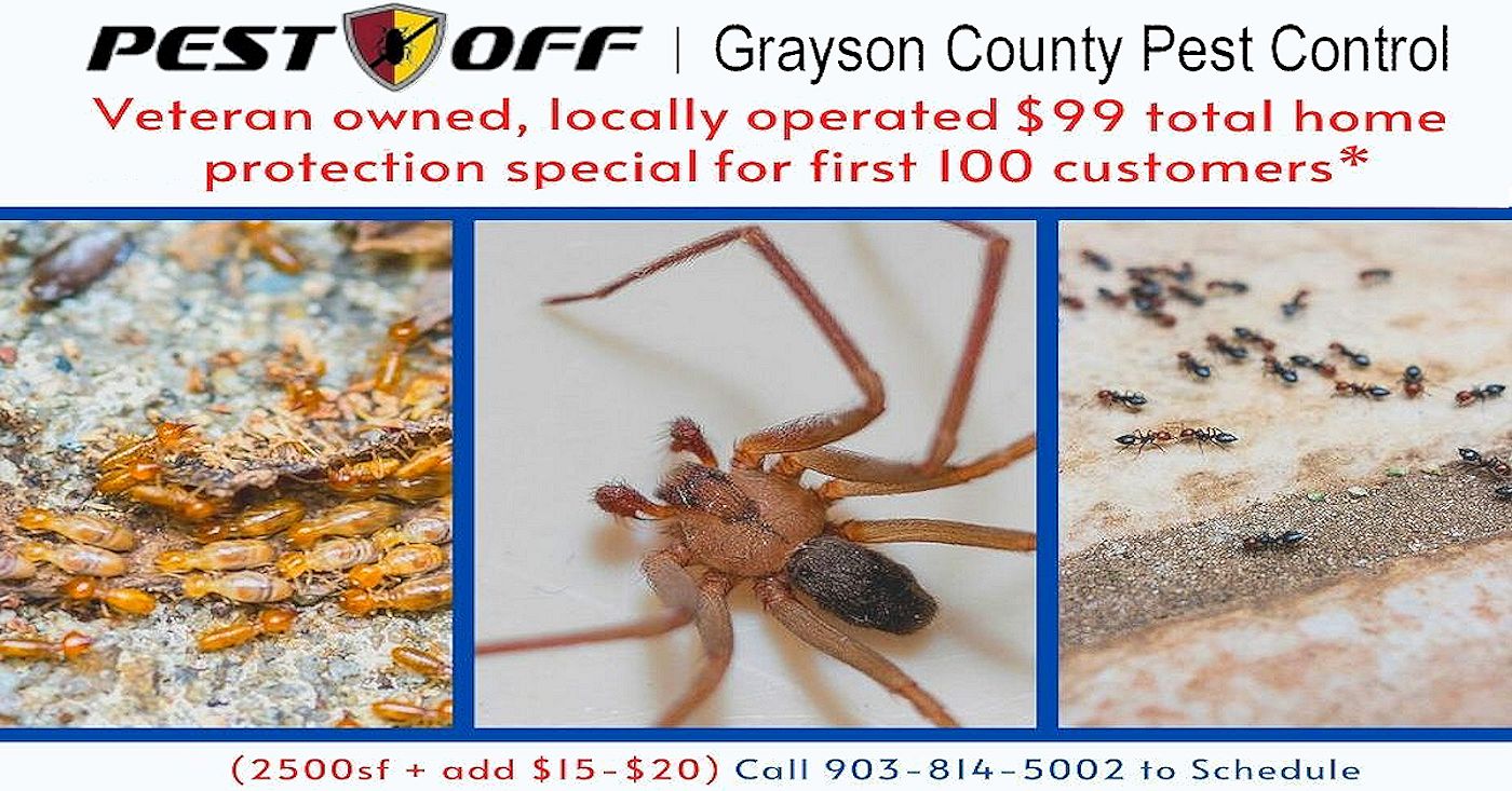 $99 Total Home Protection Pest Control Special - Pest Off Pest Control Services - Sherman Texas