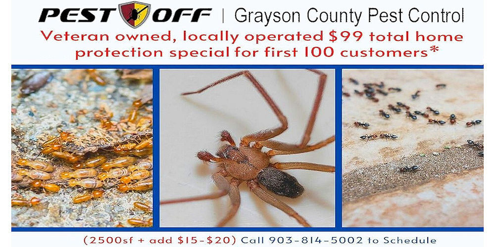 Total Home Protection Special - Pest Off Pest Control - Sherman Texas